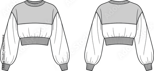 fashion, apparel, garment, clothing, sweatshirt, cropped, pullover, jumper, illustration, sketch, vector, design, template, outline, pattern, textile, fabric, ribbed, cuffs, hem, roundneck, colorblock