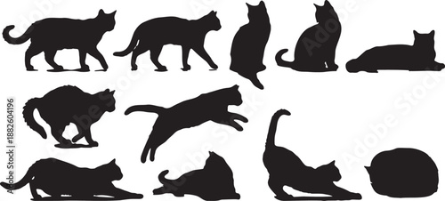 Black vector silhouette set of wild and domestic animals including bear, wolf, cat, raccoon, dolphin, whale, rabbit and turtle, Isolated on transparent background, png