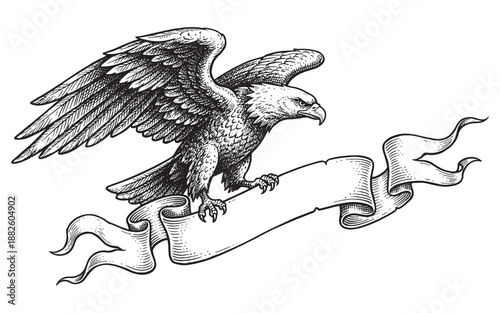 Majestic bald eagle in flight holding a blank ribbon banner, vintage hand drawn engraving style.