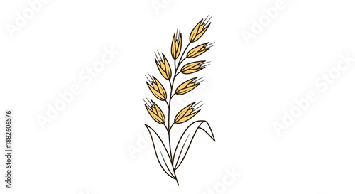 Elegant hand-drawn illustration of a single stalk of golden wheat or oats with grains and a leaf, symbolizing harvest and agriculture.
