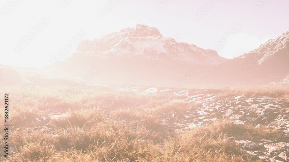 Fototapeta premium Bright sunlight washes over rugged mountains, illuminating the landscape. Golden grass sways gently in the breeze, creating a serene atmosphere in the early morning light.