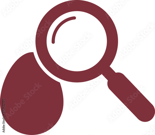 Magnifying Glass Icon with Red Color Scheme.