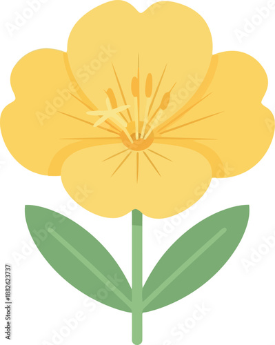 Foto Yellow Evening Primrose Flower Vector Illustration Isolated on White Background