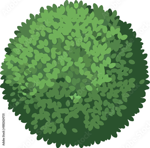 Top View Green Bush Vector Illustration for Landscape Design and Garden Planning