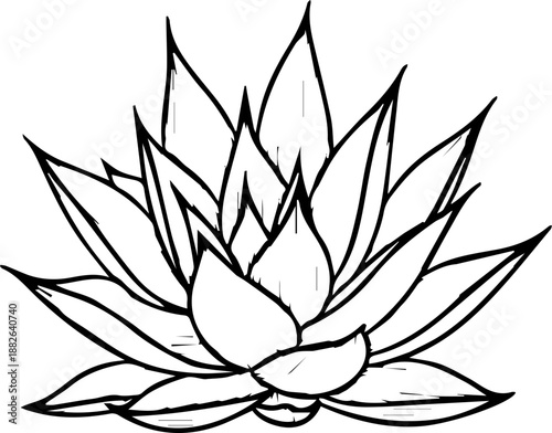 Minimalist black and white line art illustration of a succulent plant or aloe vera for coloring book or decoration