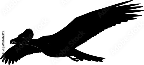 Archaeopteryx prehistoric bird silhouette, a feathered dinosaur in flight.