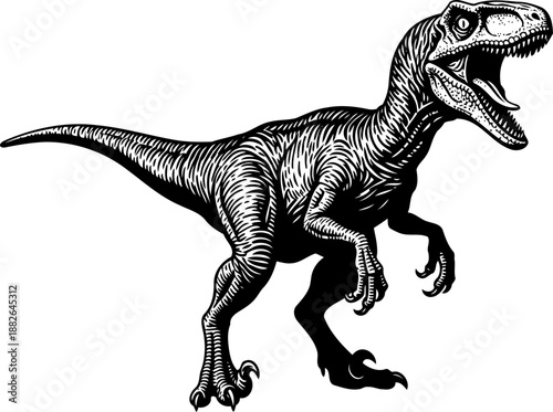 Detailed velociraptor illustration, a fierce theropod roaring in woodcut style.