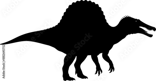 Majestic spinosaurus theropod dinosaur, walking in profile with its prominent dorsal sail, detailed vector silhouette.