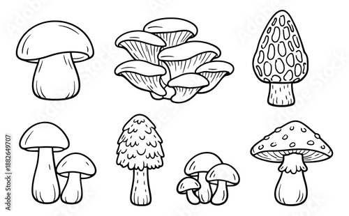Hand drawn line art mushrooms set featuring various fungi for cooking and nature themes