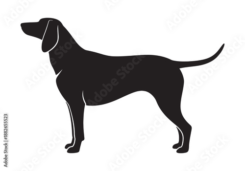 Vector silhouette of a dog on white background