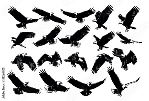 Graphic eagles set featuring multiple bald eagles in dynamic flight poses for design elements