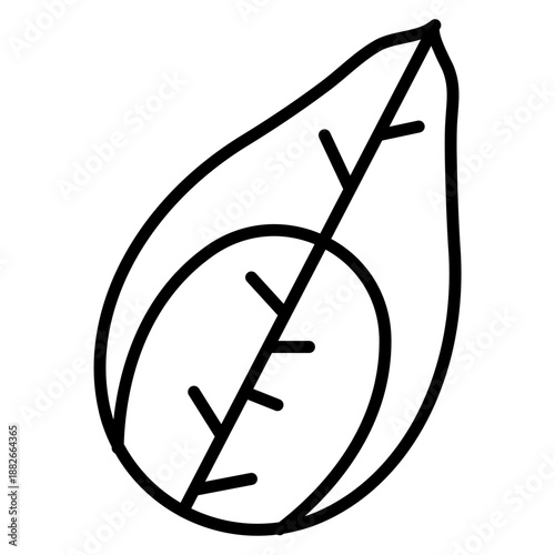 Photography Silk Cocoon Icon