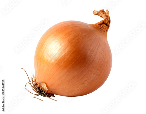Wallpaper Mural A single, ripe brown onion rests isolated on a plain black background Torontodigital.ca