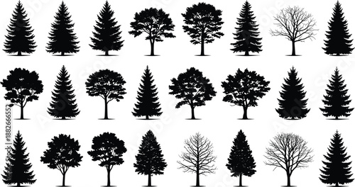 Tree silhouettes collection with evergreen and deciduous species, forest and park vegetation elements, natural landscape icons, black vector illustration isolated