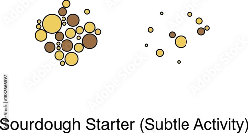 Diagram illustrating the subtle activity levels of yeast and bacteria within a sourdough starter mixture shown as colored circles on a white background.