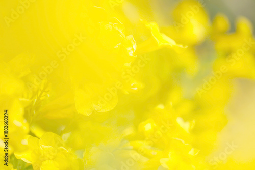 Beautiful nature view of green leaf on blurred greenery. Natural green leaves background, fresh wallpaper concept, among green leaves and other blossom blur background for text.	