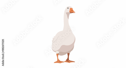 White goose standing with transparent background