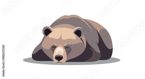 Sleeping brown bear with transparent background