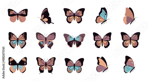 Colorful butterflies collection with transparent background