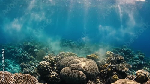 Macro View of Drifting Particulates An extreme close-up, shallow depth of field shot focusing on individual sand or detritus particles slowly falling and resettling on the ocean floor or a coral