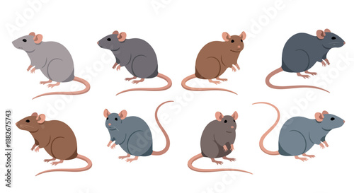 Group of mice in various colors with transparent background