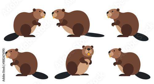 Beavers in various poses with transparent background
