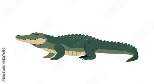 Green crocodile reptile animal with transparent background