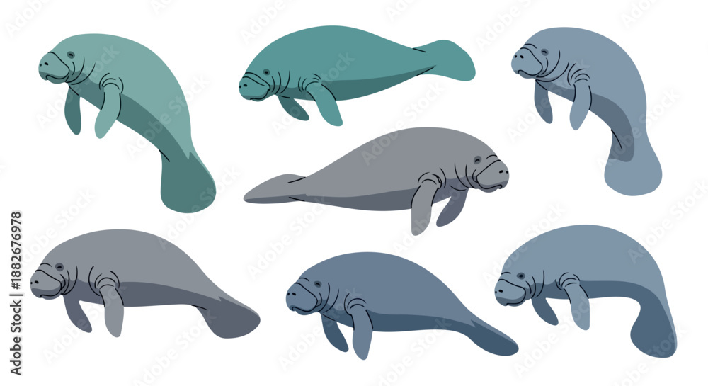 Fototapeta premium Manatees set with transparent background