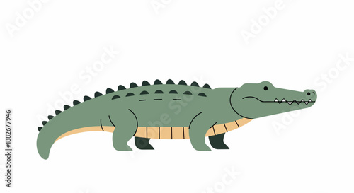 Green crocodile isolated with transparent background