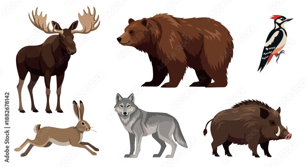 Obraz premium Forest animals collection with transparent background