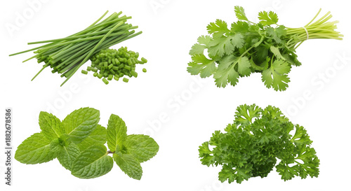 Fresh herbs chives coriander mint and parsley healthy food transparent background