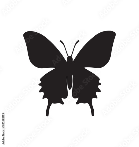 Elegant Flying Butterfly Form.