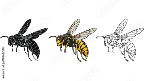 Set of three wasp illustrations in black silhouette, full color, and line art styles