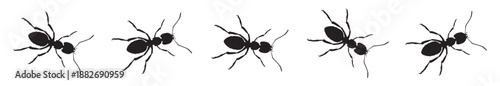 Ant trail A line of worker ants marching in search of food  horizontal banner Ant road column Teamwork Hard work metaphor Black. Vector illustration.