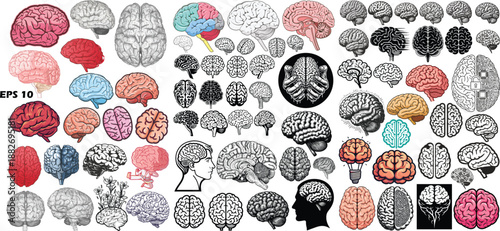 Ultimate Human Brain and Anatomy Collection. Massive Vector Set of Realistic, Stylized, and Digital Brain Illustrations for Medical, AI, and Psychology Branding