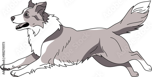 A cartoon illustration of a happy, energetic border collie dog running with its mouth open, showcasing its athleticism and playful nature