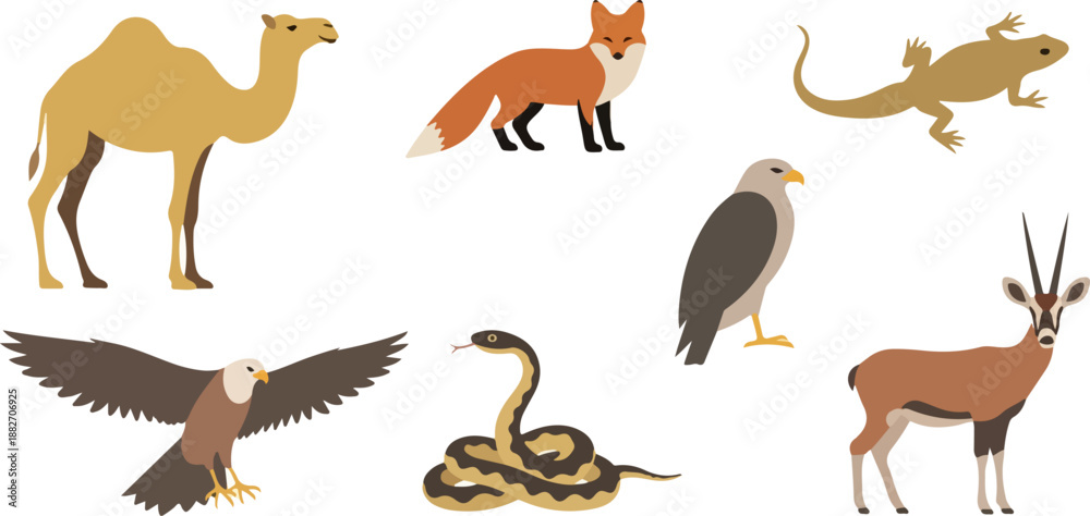 Obraz premium Desert animals collection with transparent background