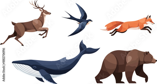 Wildlife animals collection with transparent background