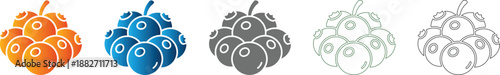 Blueberry bunch icon set vector flat design
