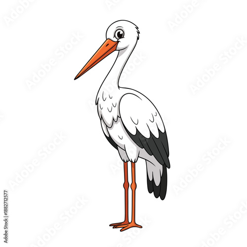 White Stork Standing Illustration Vector