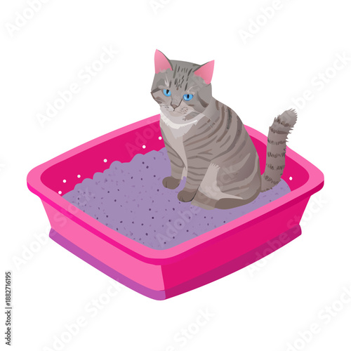 An adorable young British shorthair kitten with soft gray fur and bright eyes looks toward the camera in a cute domestic pet portrait