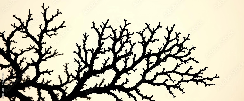 Fototapeta premium Intricate black coral branches, dark silhouette against light background, monochrome, sea life