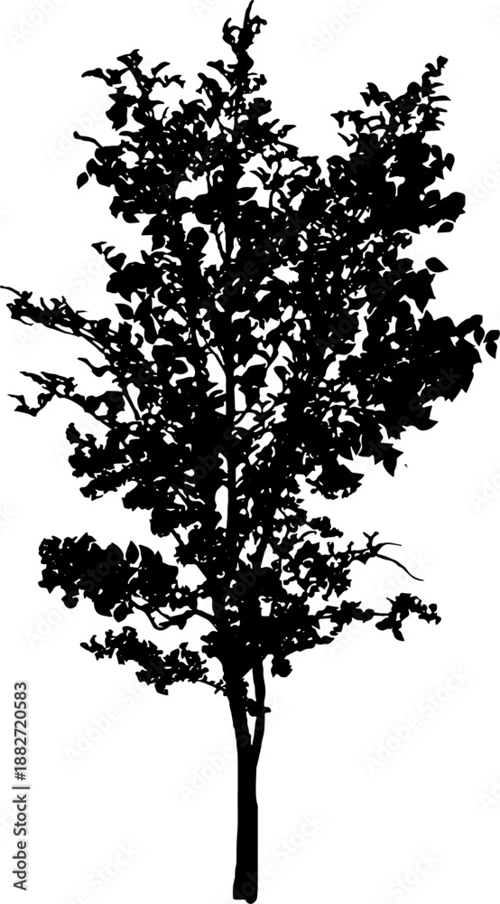 Obraz premium Vector illustration of a black tree silhouette isolated on a white background. Perfect for nature design, architectural rendering, landscape architecture, and environment graphics. High-quality