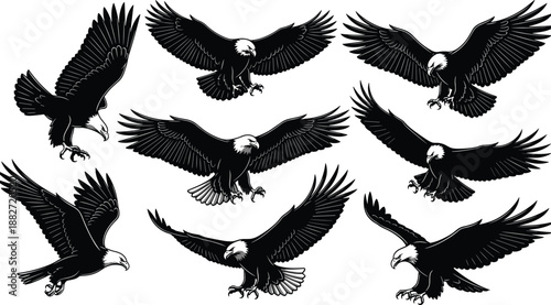Bald eagle flying silhouettes collection showing powerful wings spread poses, majestic bird of prey illustrations in black vector style isolated on white background