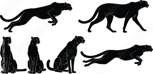 Black panther silhouette poses set illustration showing running jumping and sitting big cat figures isolated on white background