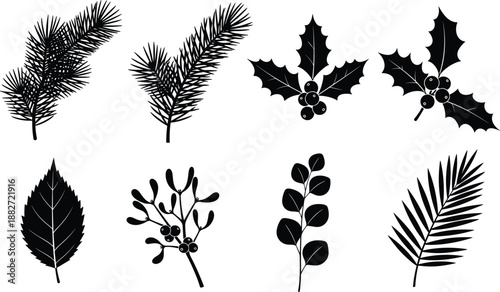Christmas botanical silhouette set with pine branches holly leaves mistletoe and winter foliage icons isolated on white background