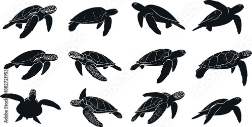 Sea turtle silhouette set illustration, marine reptile collection isolated on white background, ocean wildlife graphic, underwater animal design