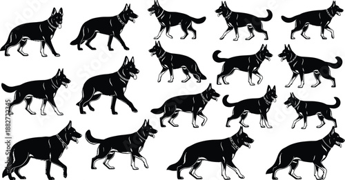 German Shepherd dog silhouette walking poses set illustration, black vector collection showing canine movement sequence isolated on white background