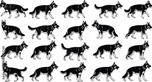 German Shepherd dog walking silhouettes set illustration, black vector collection showing canine movement poses isolated on white background