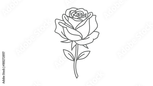 A clean and elegant black line art illustration portrays a single blossoming rose flower with intricate petal details and attached leaves on a pristine white canvas.